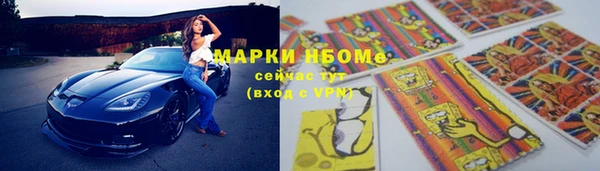 соль ск Бородино