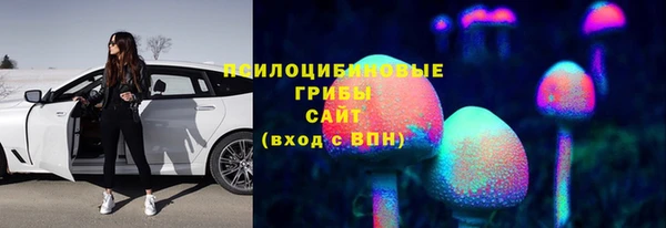 соль ск Бородино