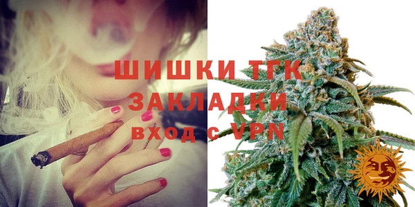 соль ск Бородино