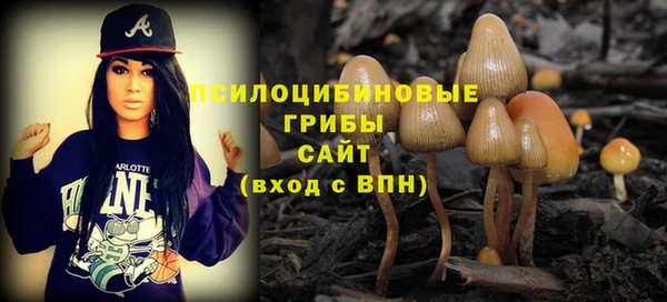 соль ск Бородино