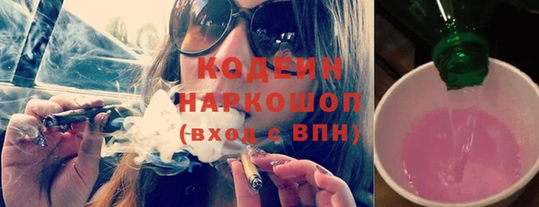 соль ск Бородино