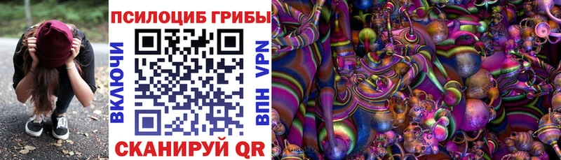 Галлюциногенные грибы Psilocybe где купить Минеральные Воды